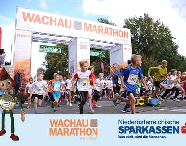 wachau-marathon-3