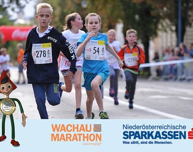 wachau-marathon-5